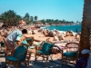 egypt-camels-in-dahab